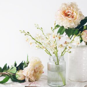 5 Ragioni per Regalare Fiori